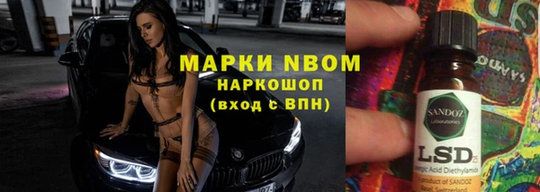 хмурый Белокуриха