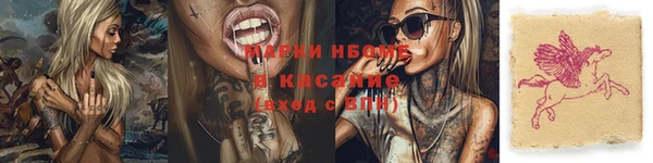 хмурый Белокуриха
