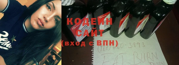 хмурый Белокуриха