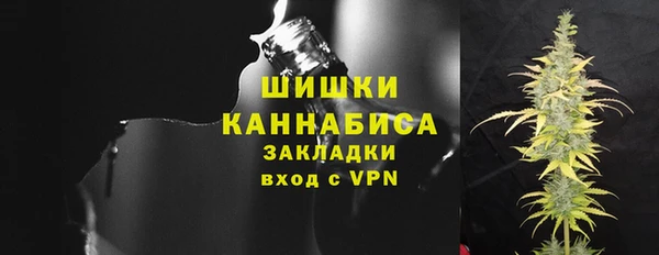 хмурый Белокуриха