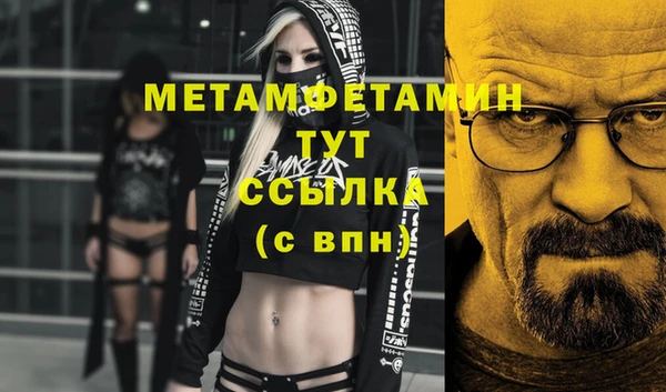 хмурый Белокуриха