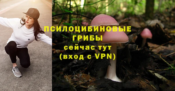 дмт Белоозёрский