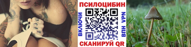 купить наркотики цена Дальнегорск Галлюциногенные грибы MAGIC MUSHROOMS