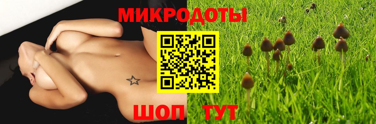 Галлюциногенные грибы GOLDEN TEACHER Дальнегорск