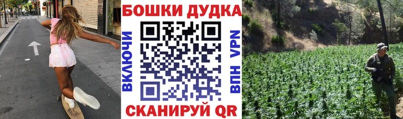 Шишки марихуана сатива  Дальнегорск 